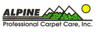 Carpet And Rug Cleaner