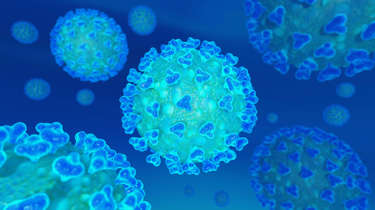 Will Steam Cleaning kill Coronavirus?